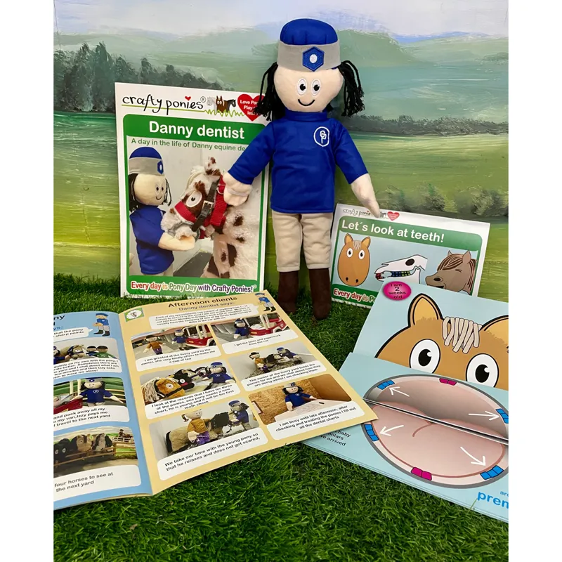 Crafty Ponies Danny the Dentist